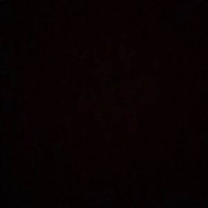 Meet your Posher, Leilani